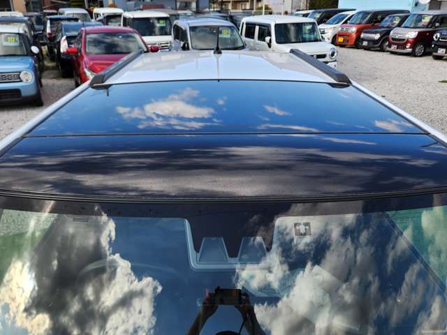 Daihatsu Taft 8