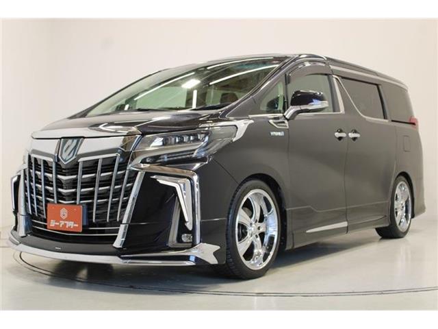 Toyota Alphard 9
