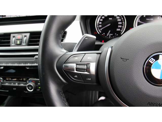 BMW X1 3