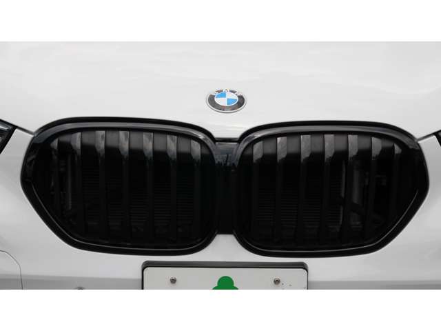 BMW X1 10
