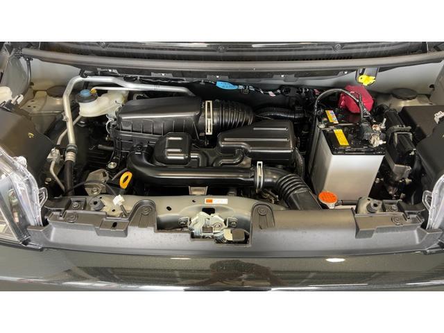 Daihatsu Taft 11