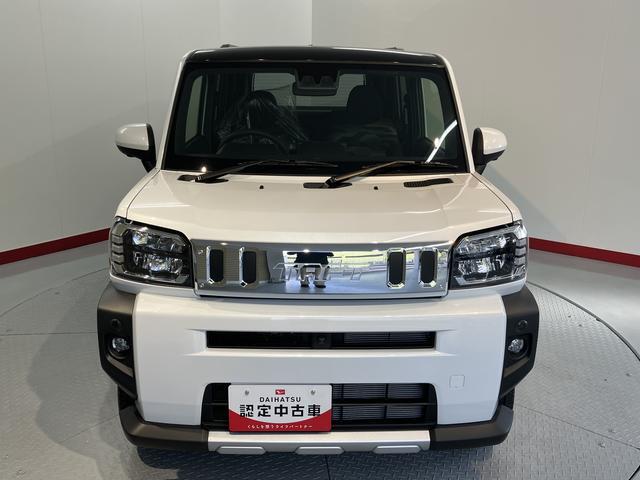Daihatsu Taft 6