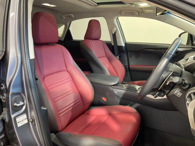 Lexus NX 11