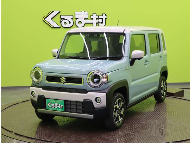 Suzuki Hustler 11