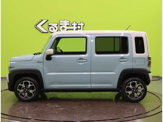 Suzuki Hustler 10