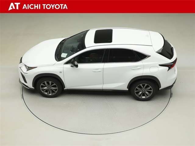 Lexus NX 11