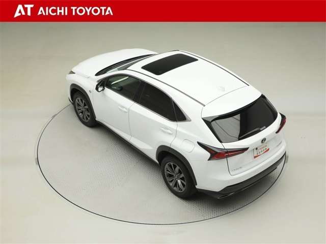 Lexus NX 12