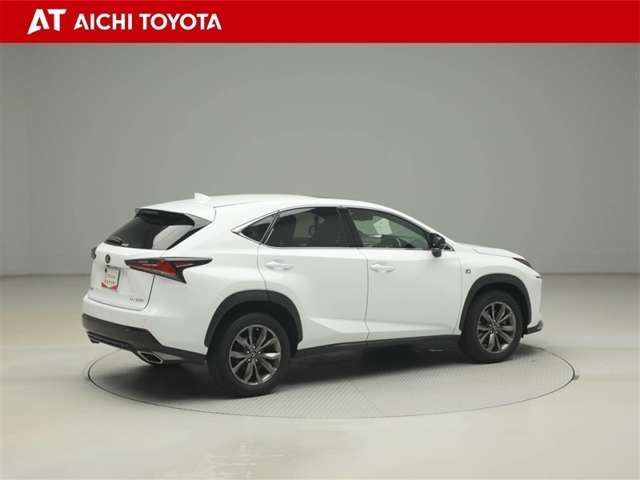 Lexus NX 6