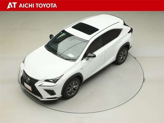 Lexus NX 10