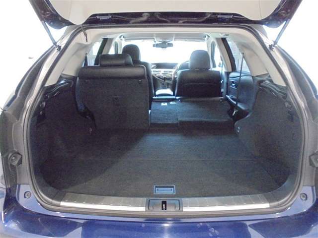 Lexus RX Hybrid 11