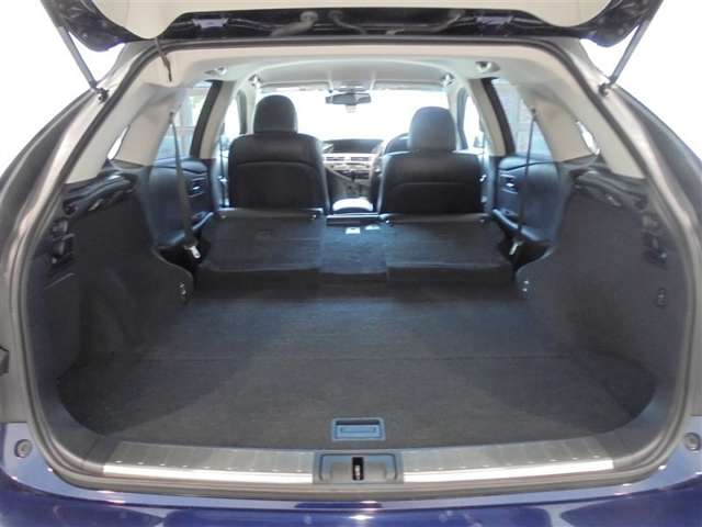 Lexus RX Hybrid 12