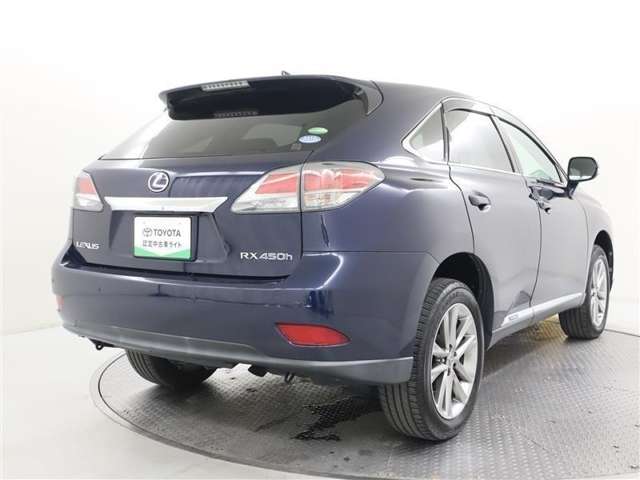 Lexus RX Hybrid 6