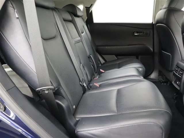 Lexus RX Hybrid 9