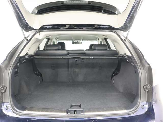 Lexus RX Hybrid 10