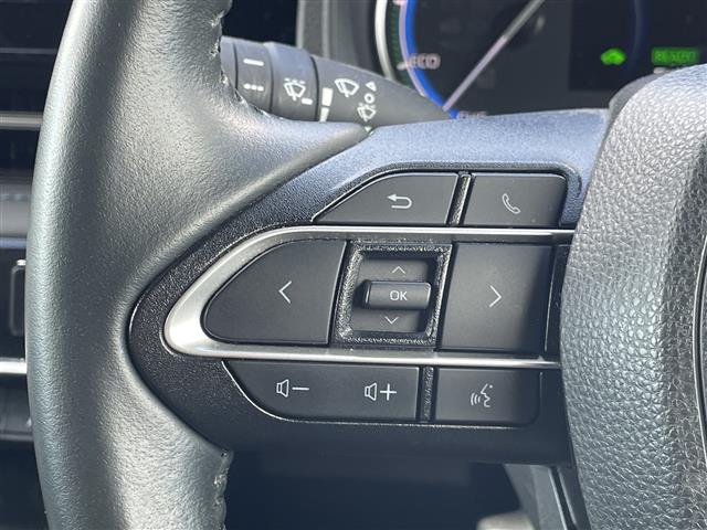 Toyota Voxy 8