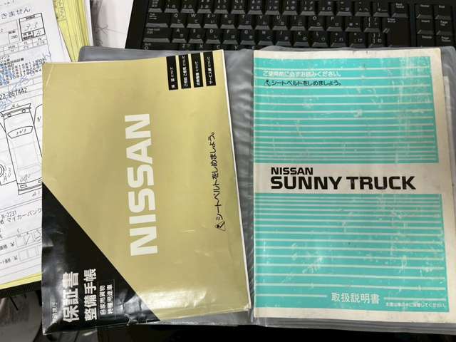 Nissan Sunny Truck 2