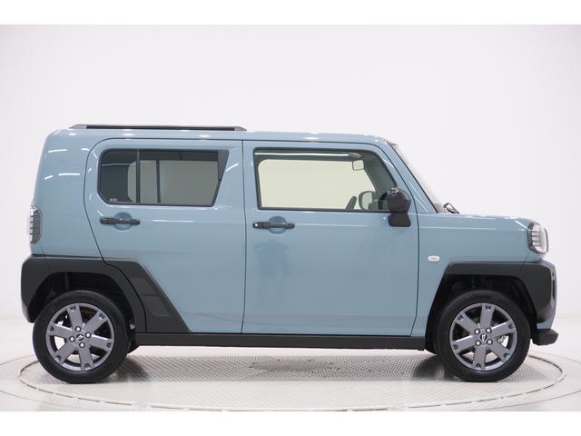 Daihatsu Taft 6