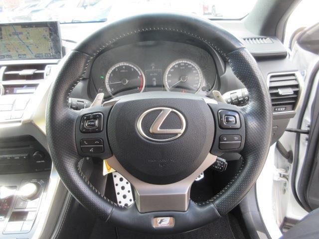 Lexus NX 12