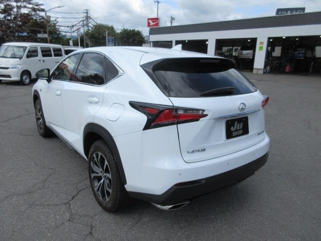 Lexus NX 10