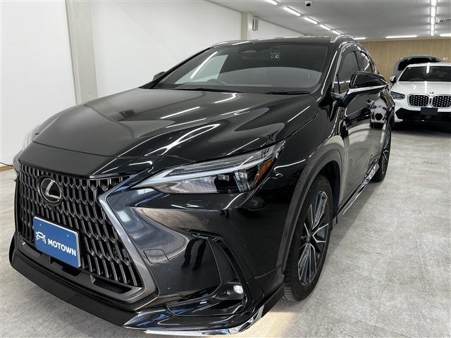 Lexus NX 4