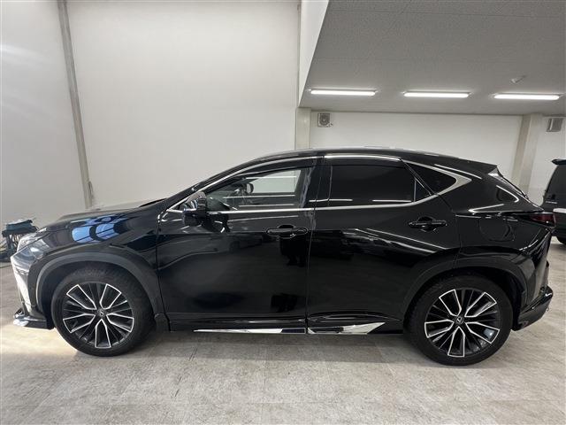 Lexus NX 10