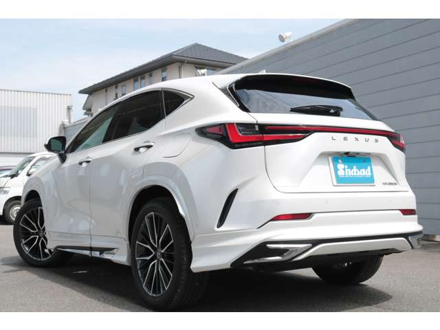 Lexus NX 8