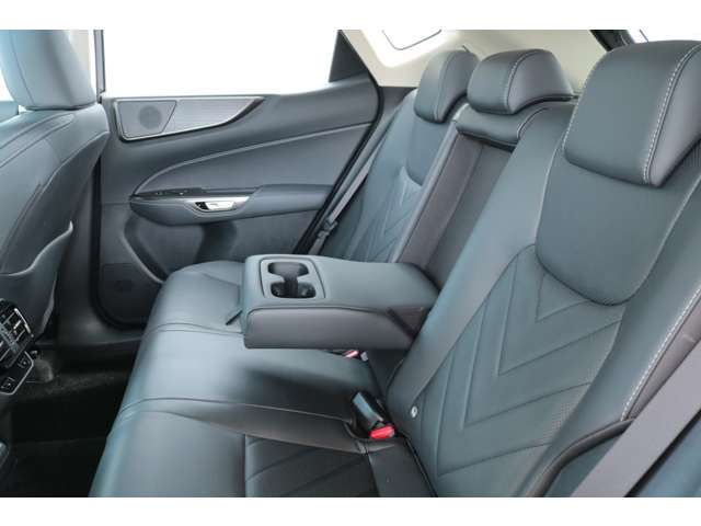 Lexus NX 10