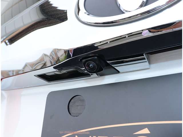 Toyota Alphard 11
