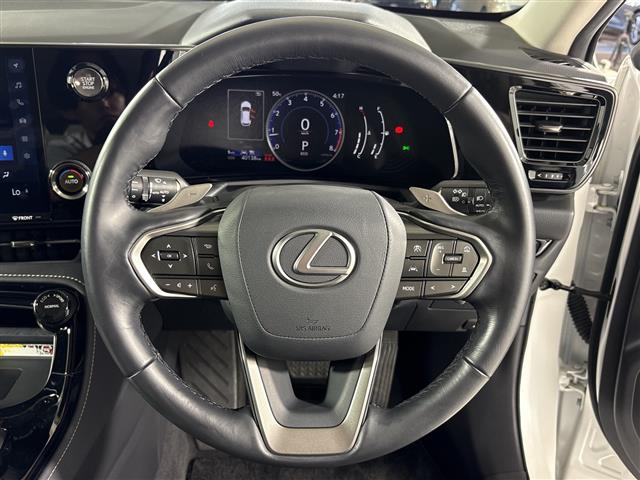 Lexus NX 12