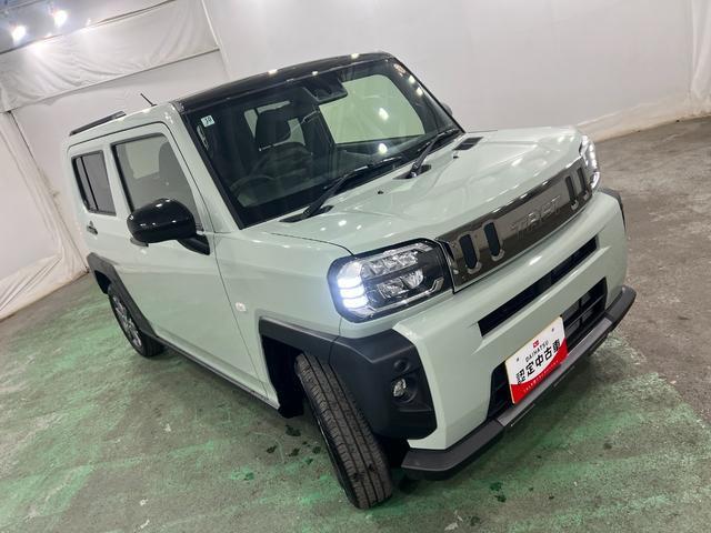 Daihatsu Taft 9