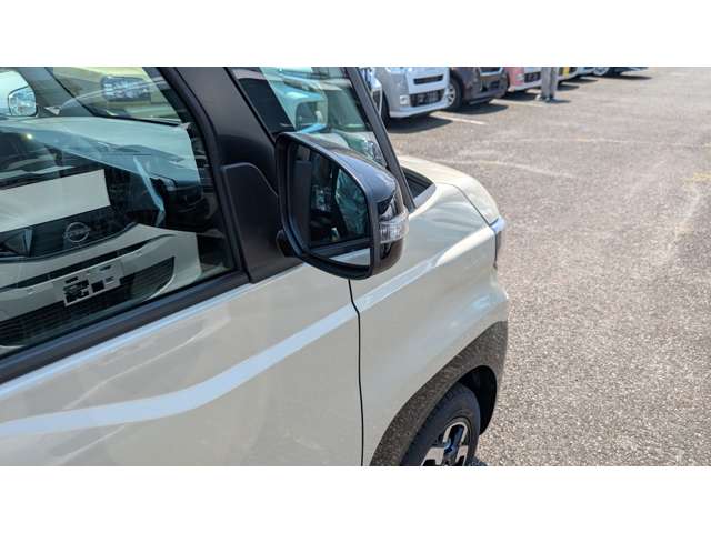 Mitsubishi Delica Mini 10
