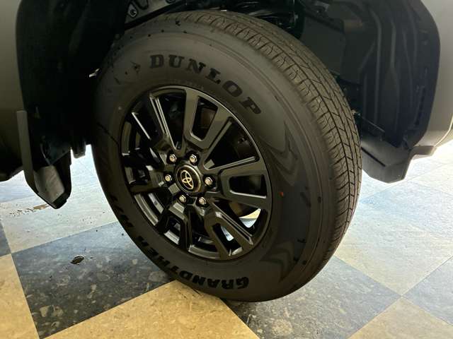 Toyota Land Cruiser 250 5