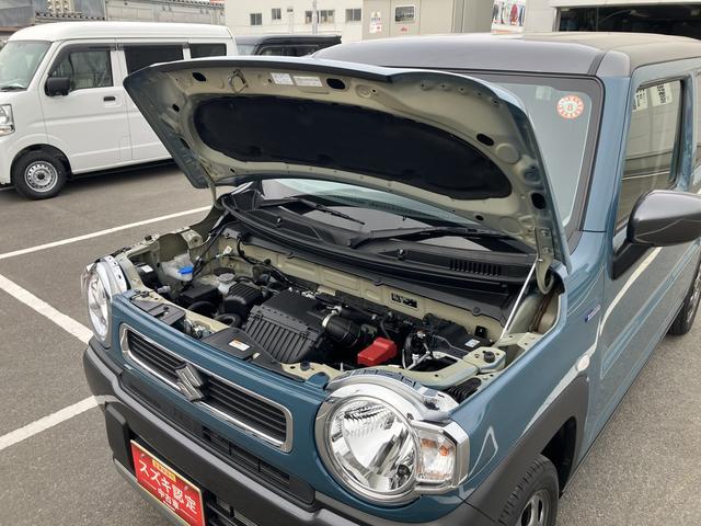 Suzuki Hustler 11