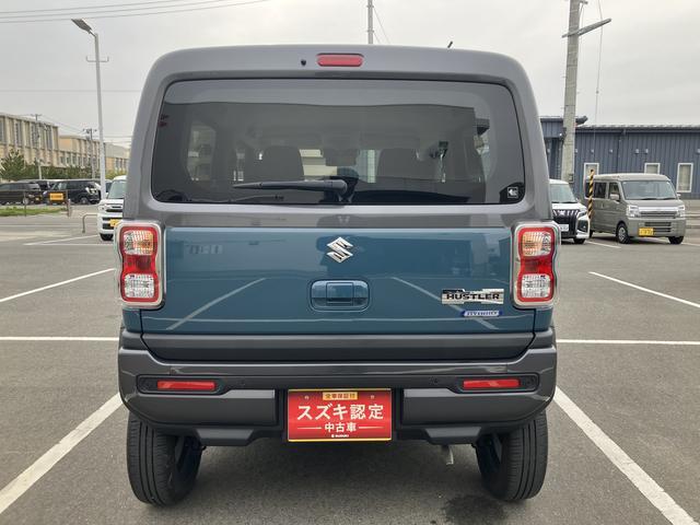 Suzuki Hustler 6