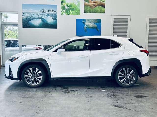Lexus UX 11