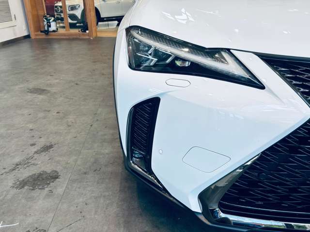 Lexus UX 12