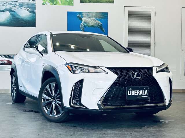 Lexus UX 6