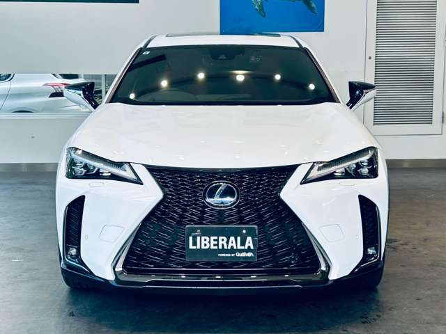 Lexus UX 7