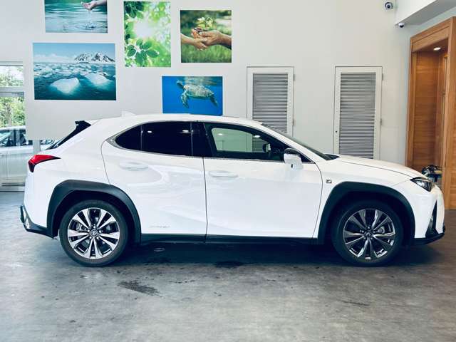 Lexus UX 8