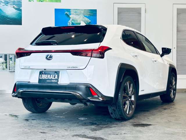 Lexus UX 9