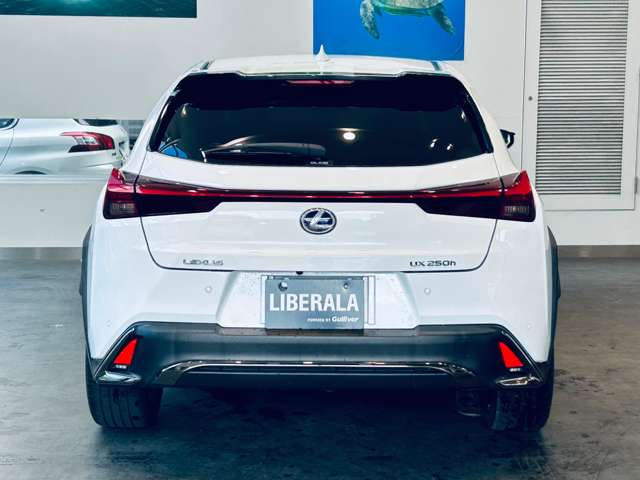 Lexus UX 10