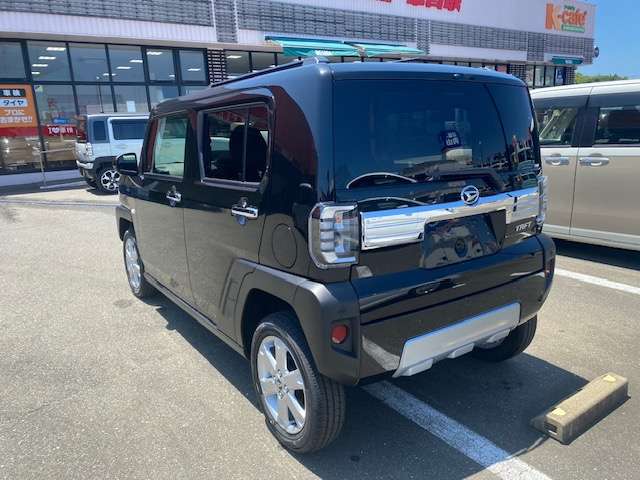 Daihatsu Taft 8