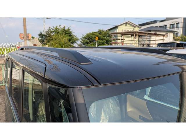 Mitsubishi Delica Mini 8