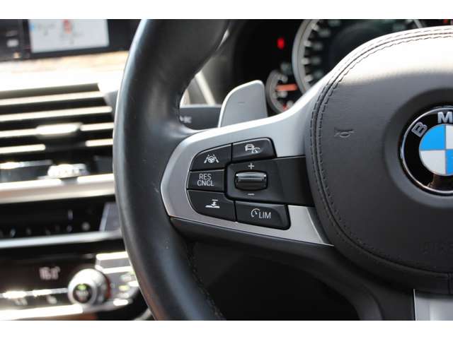 BMW X3 7