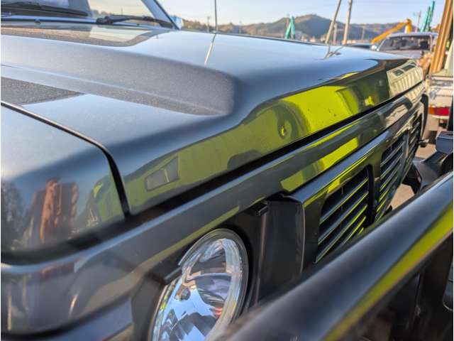 Nissan Safari 10