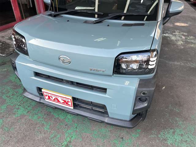 Daihatsu Taft 11