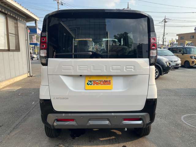 Mitsubishi Delica Mini 11