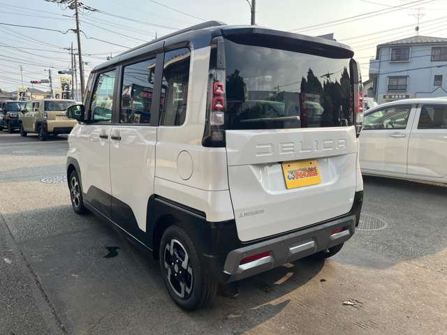 Mitsubishi Delica Mini 12
