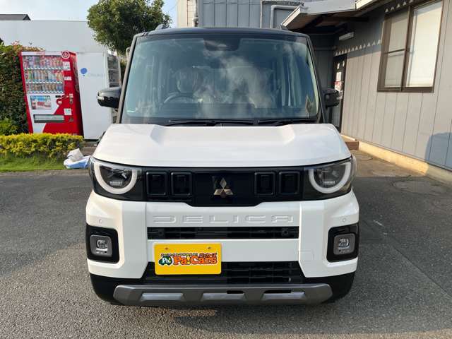 Mitsubishi Delica Mini 7
