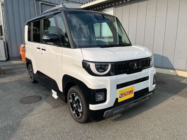 Mitsubishi Delica Mini 8